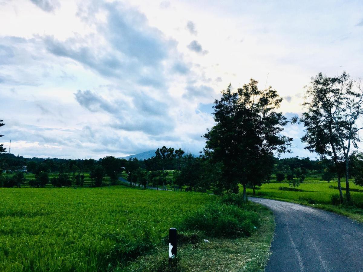 Tommy Homestay Plambi Экстерьер фото
